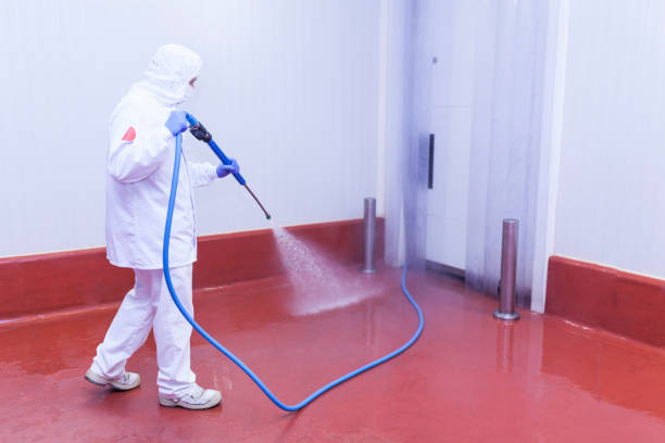 Best Post-Construction Pressure Washing  in Seymour, IN